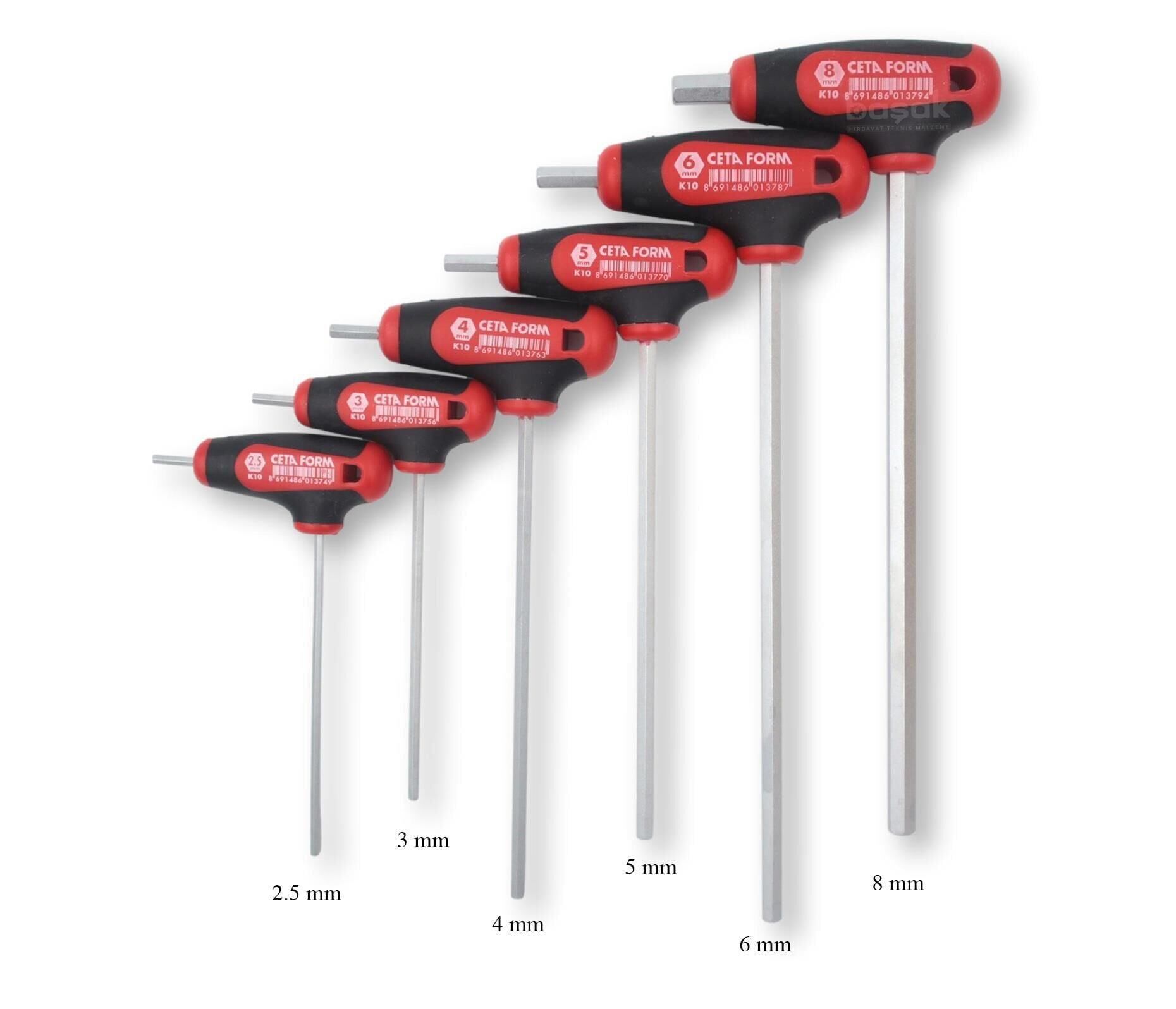 CETA T SAPLI ALLEN ANAHTAR TAKIMI 6 PARÇA